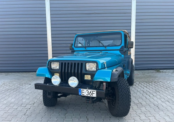 Jeep Wrangler cena 64700 przebieg: 152000, rok produkcji 1992 z Swarzędz małe 191